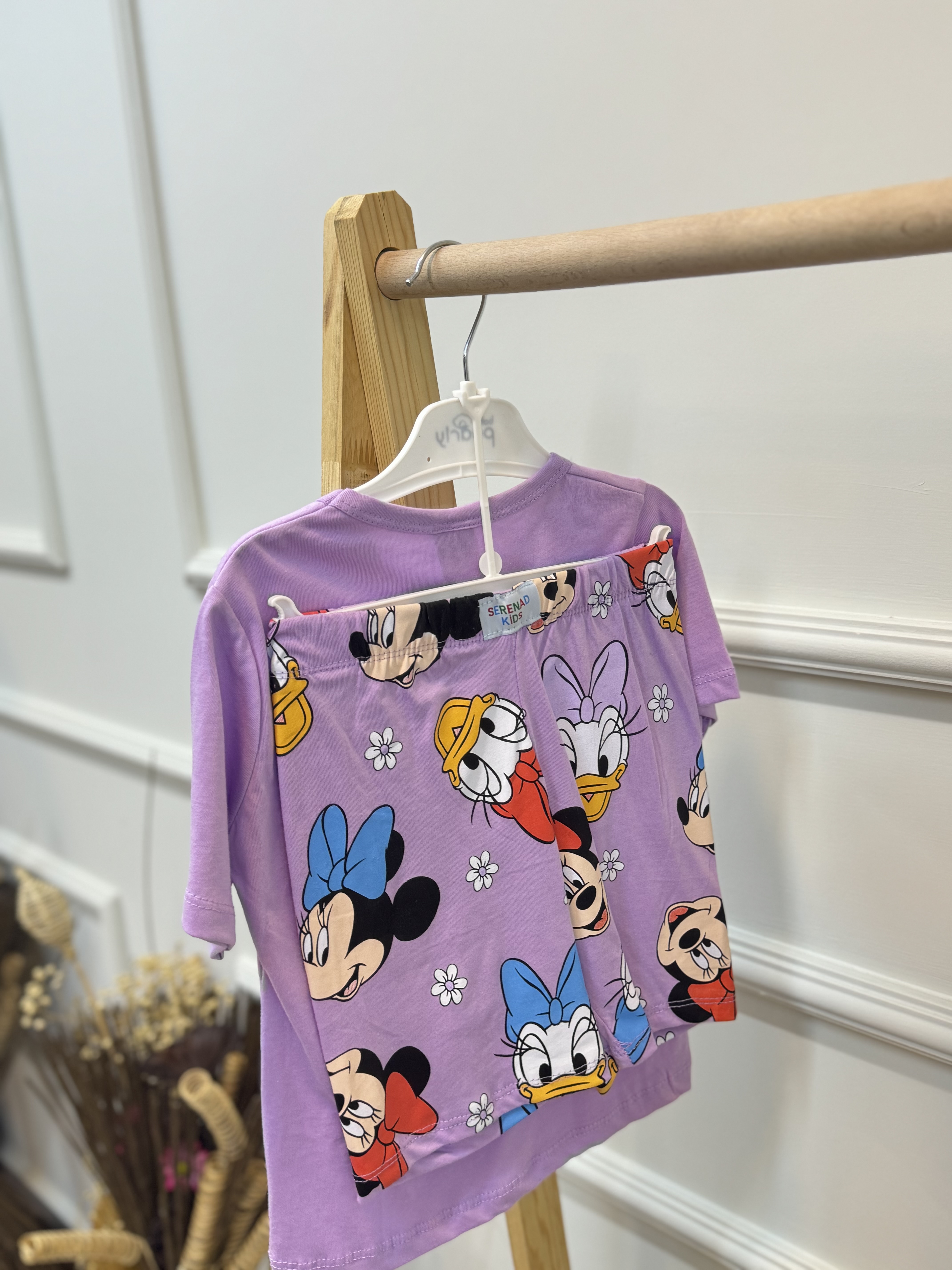Lila Disney Dostlar Takım