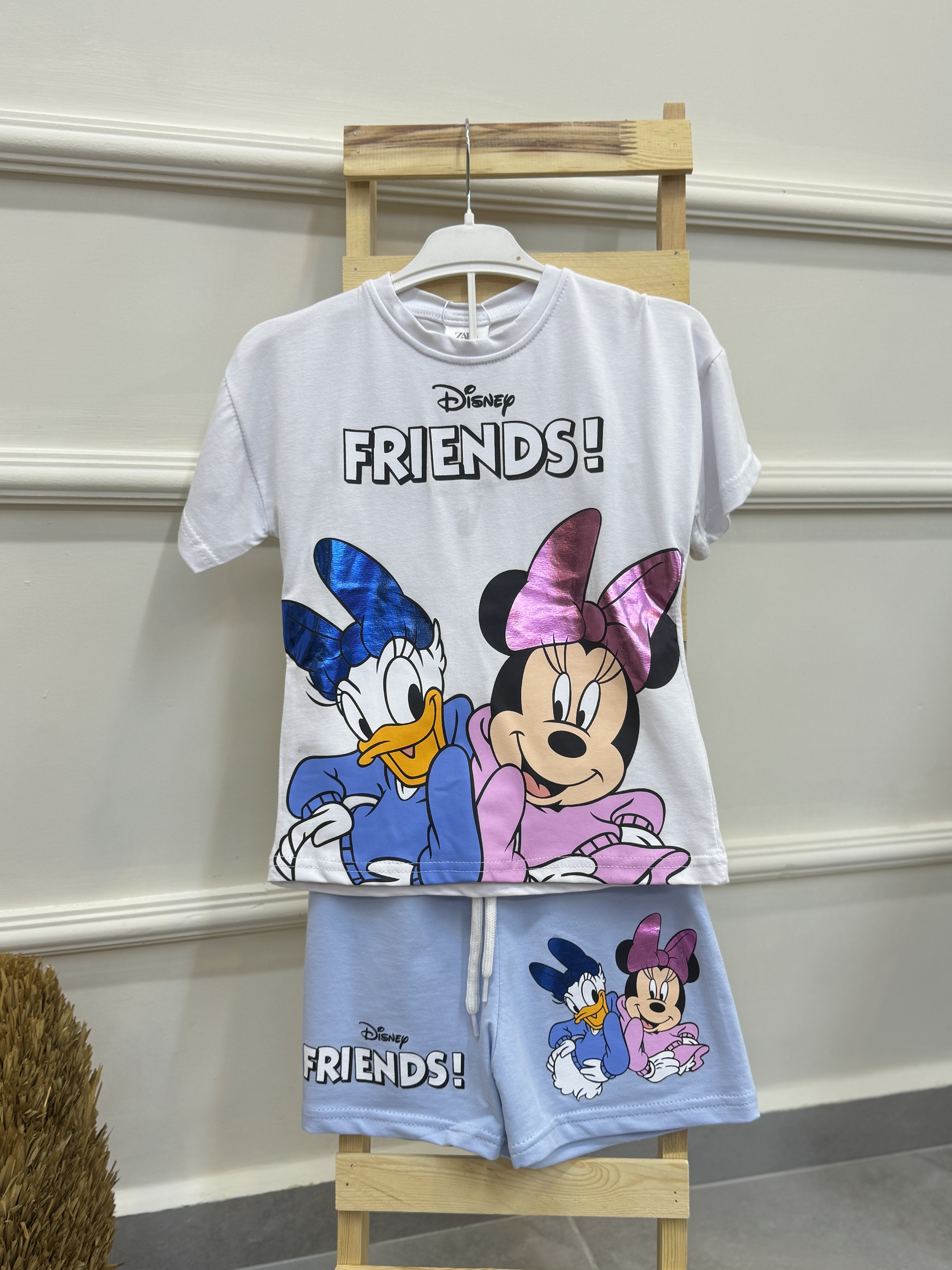 Disney Friends Takım