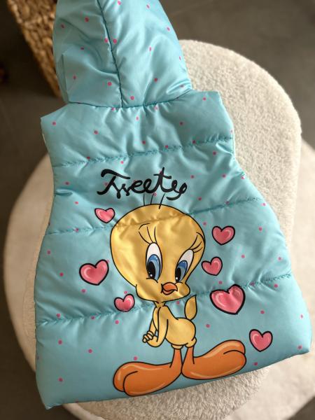 Tweety Mint Şişme Yelek